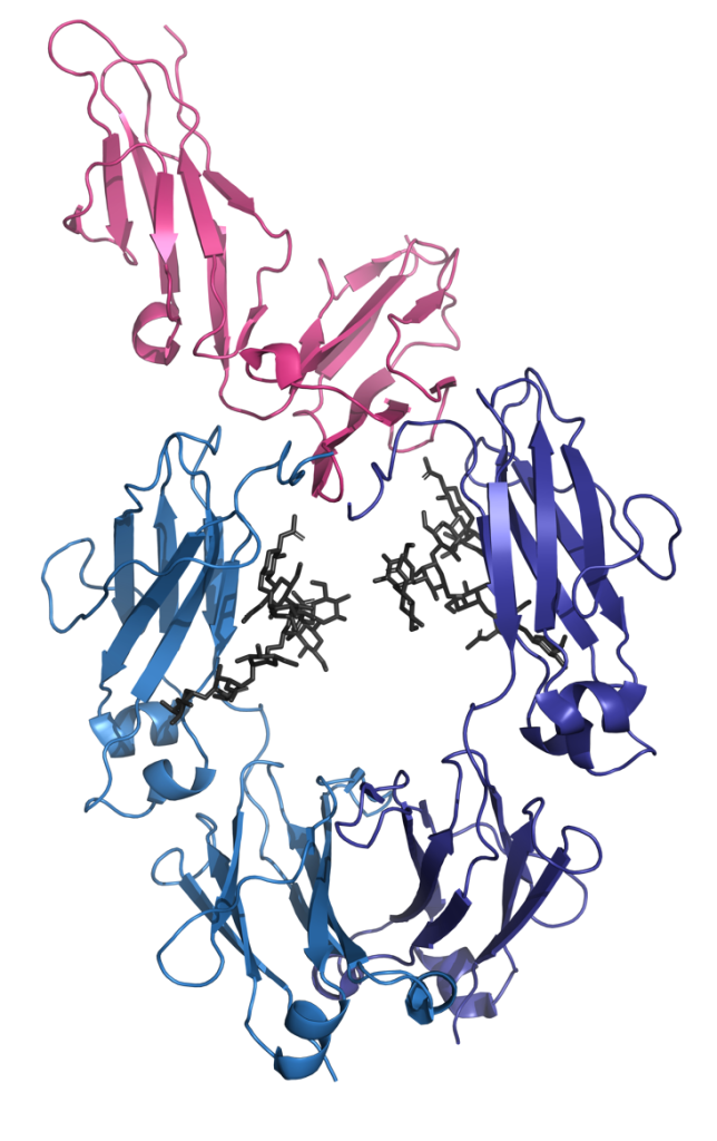 Listing cover image